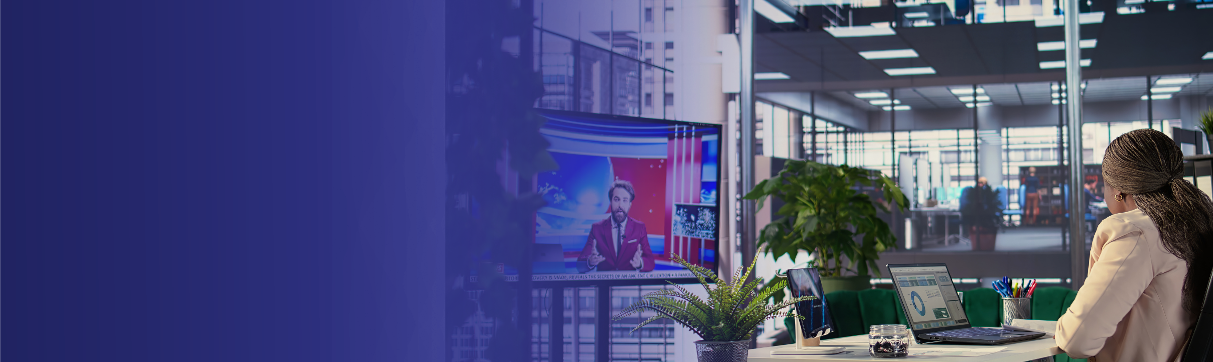 Corporate Display Solutions